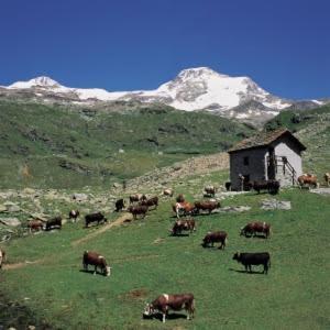 דירות קורמאיור Maison Du Bourg מראה חיצוני תמונה